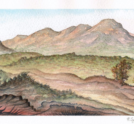 2010 – Sos Alinos