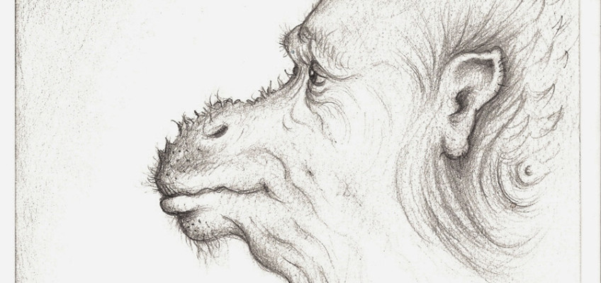 11)-Tenerezza,-2010,-matita-25,3×15,4