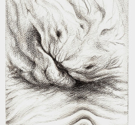 2010 – Sonno