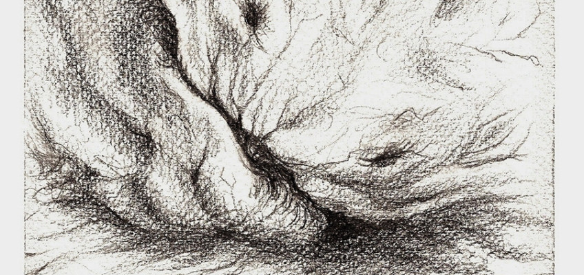 14)-Sonno,—-2010,-matita-29,7×21