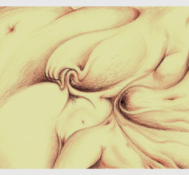 2010 – Risveglio giocoso