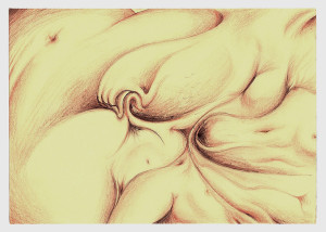 15)-Risveglio-giocoso,-2010,-penna-e-sanguigna-17,2x24,5