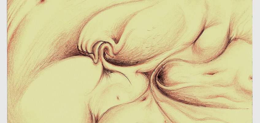 15)-Risveglio-giocoso,-2010,-penna-e-sanguigna-17,2×24,5