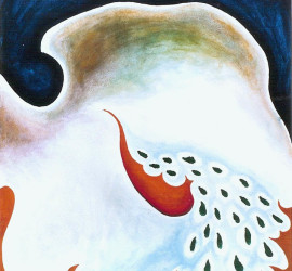 1989 – La sorgente meravigliosa