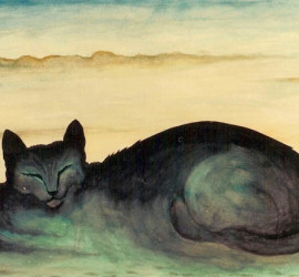 1989 – Sonno invernale