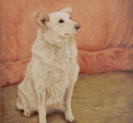 1992 – Dolly seduta