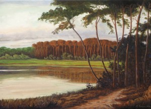 2007 - Bosco malato (studio) - olio su tela 50x70x4,5