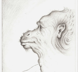 2010 – Tenerezza