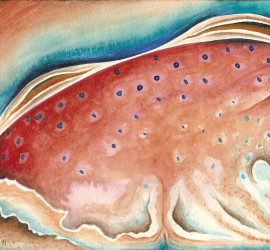 2011 – Inesorabile